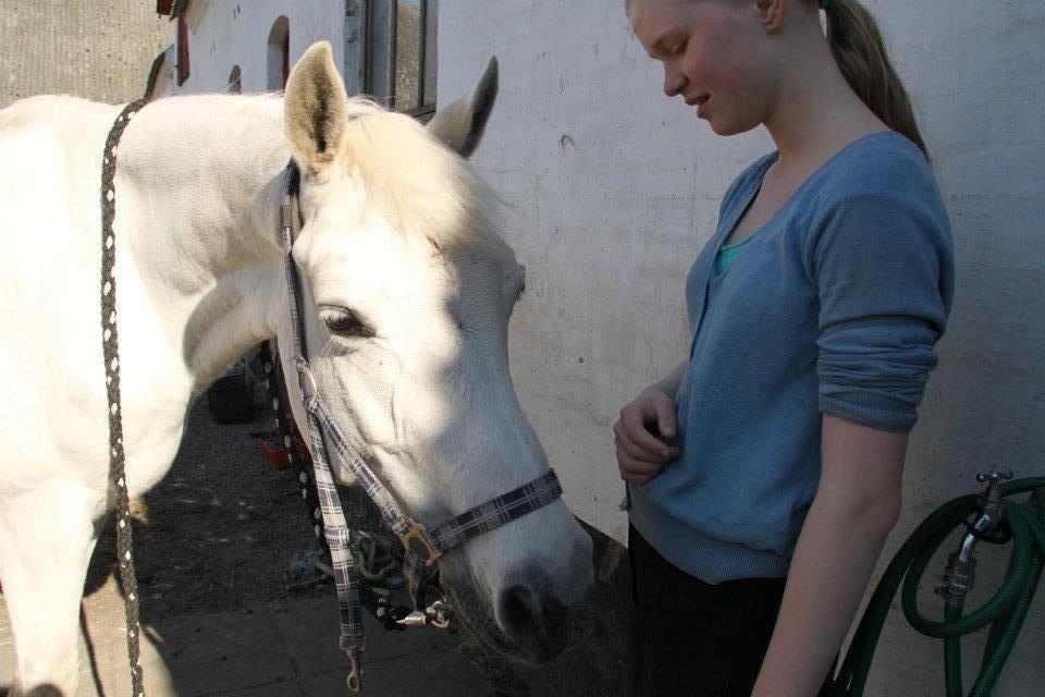 Connemara Nørlunds Petsy Bay *Petter* 1996-2012 - Nysgerrige Petzy og jeg - Foto; Frederikke T billede 2