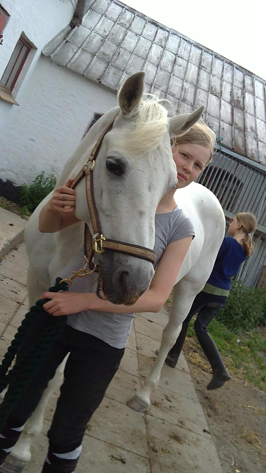 Connemara Nørlunds Petsy Bay *Petter* 1996-2012 - Petzy og jeg - Foto; Ida billede 3