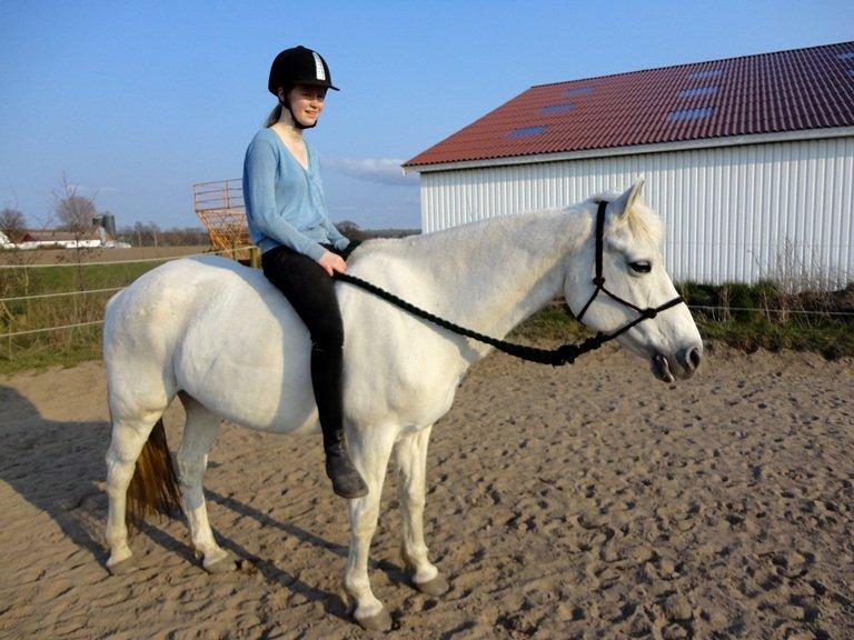 Connemara Nørlunds Petsy Bay *Petter* 1996-2012 - Ridning i rebgrime <33 - Foto; Ida billede 16