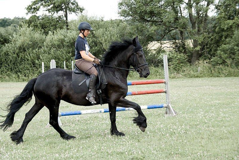 Frieser Carla billede 9