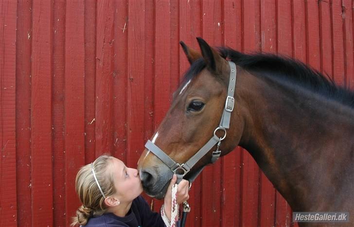 Anden særlig race May-day<3 *solgt* billede 20