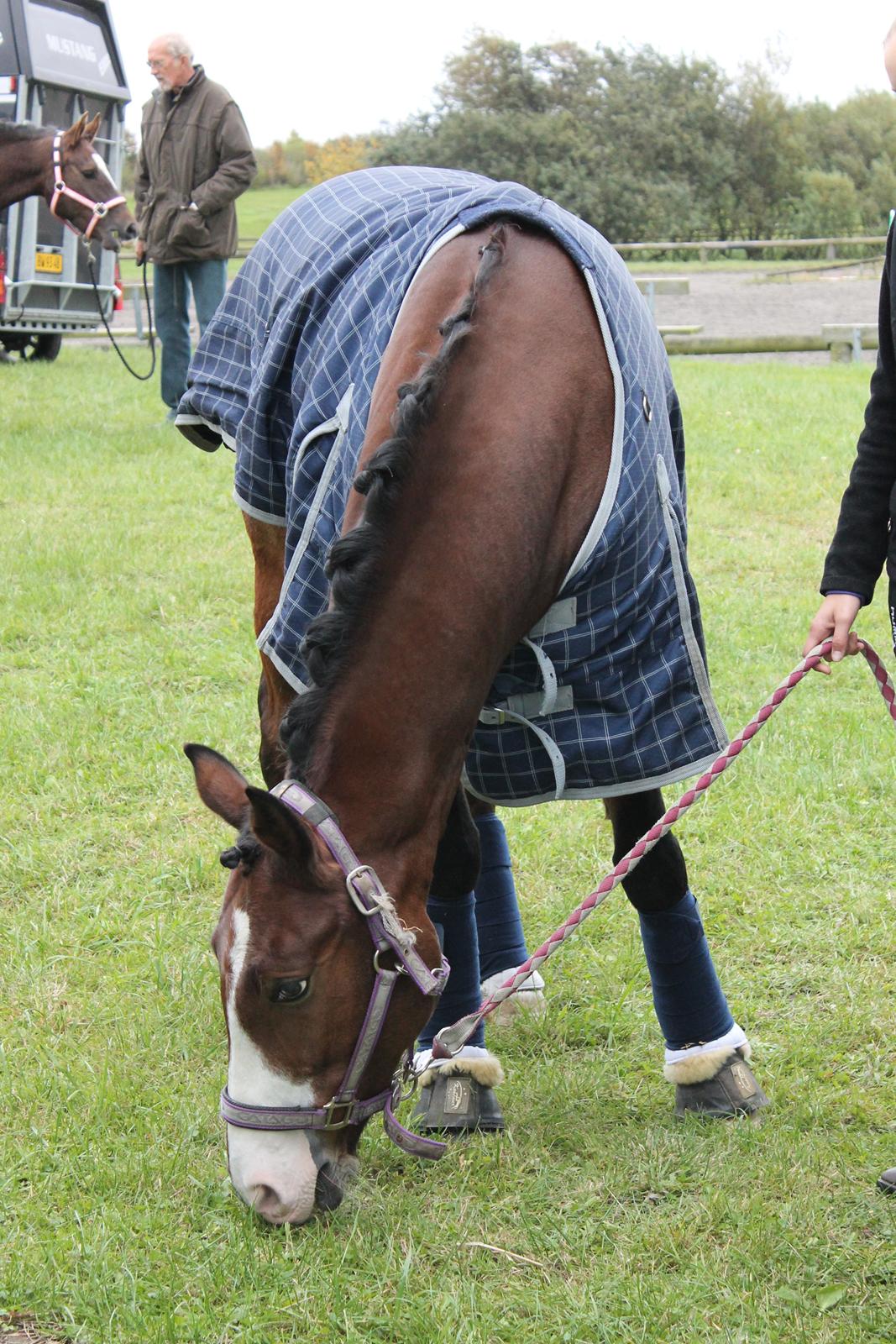 DSP Lucky Lux billede 4