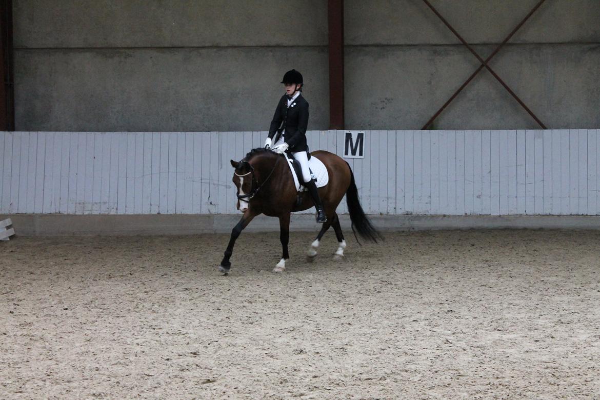 DSP Lucky Lux billede 10