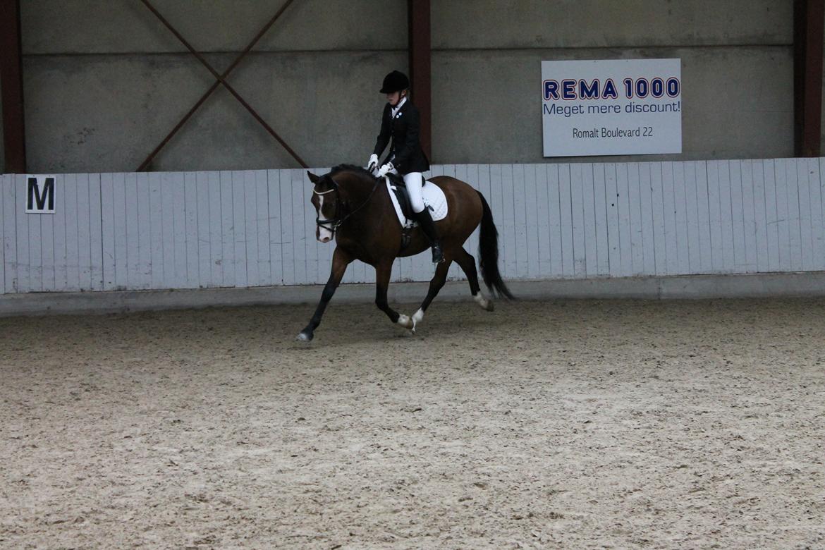 DSP Lucky Lux billede 8