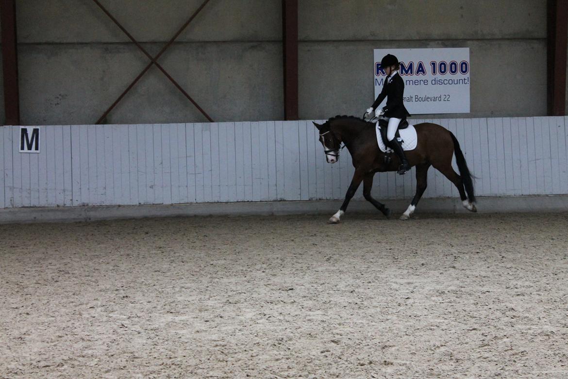 DSP Lucky Lux billede 9