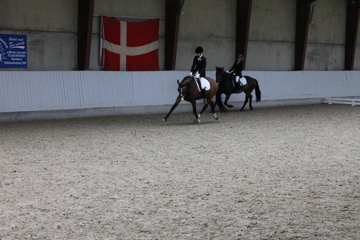 DSP Lucky Lux billede 15