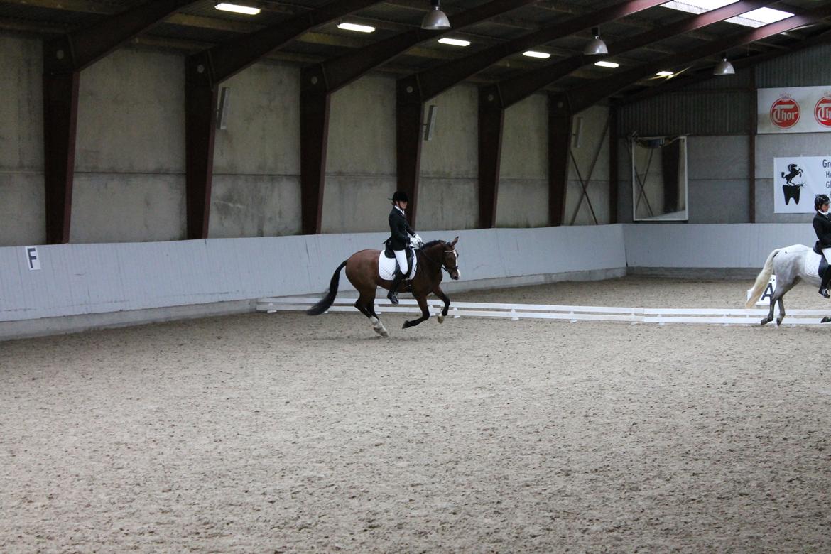 DSP Lucky Lux billede 16