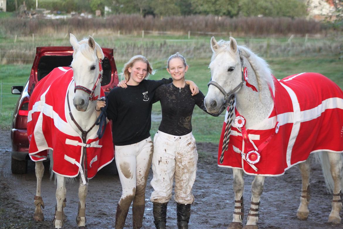 Connemara Kalle  - Klubmester 2012 på BLIS med Alberte ^^ billede 12