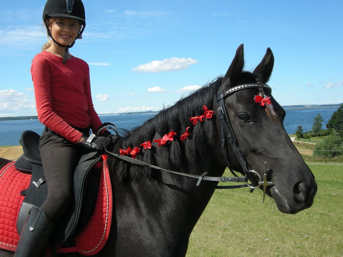 New Forest Birkilds Felicia - vi er begge røde billede 4