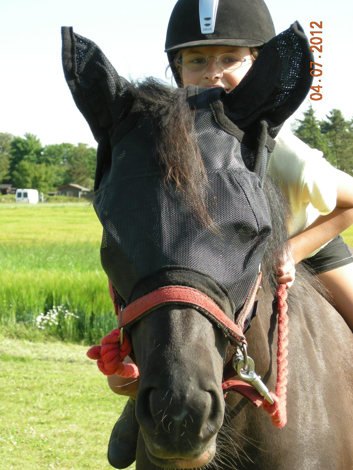 New Forest Birkilds Felicia - Se jeg er en robot :-D billede 11