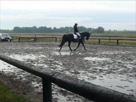 Anden særlig race Lucky - Part R.I.P billede 20