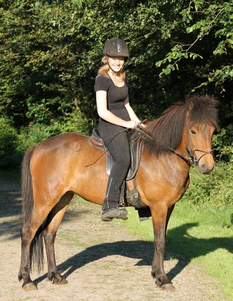 Islænder Björk fra Vester Albæk billede 8