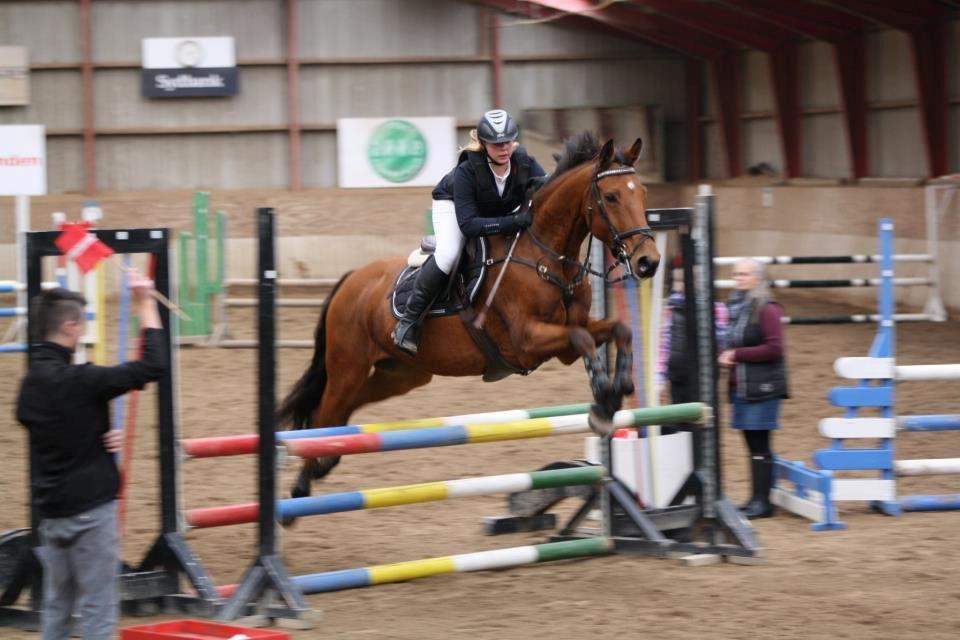 Holstener Chess Mate R.I.P <3 - Første spring stævne på Chess. vandt en 2 plads.
06-10-2012 på SLRK 
 billede 16