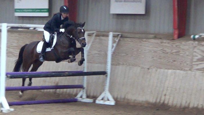 Welsh Partbred (Sec F) GROEZE'S JOSINA - Første LB :) billede 7