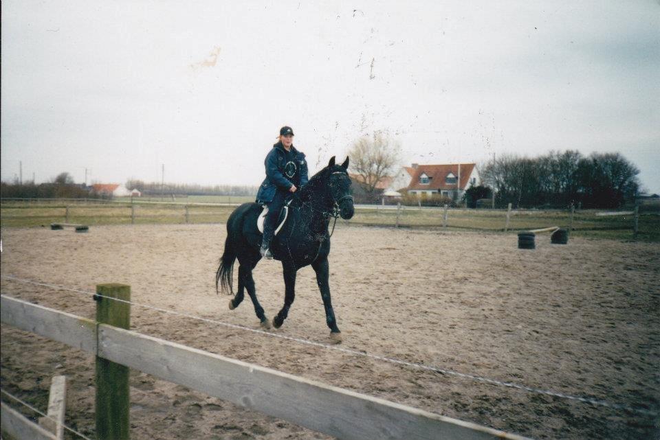 Oldenborg Strøgårdens Juvel - Min øjesten billede 9