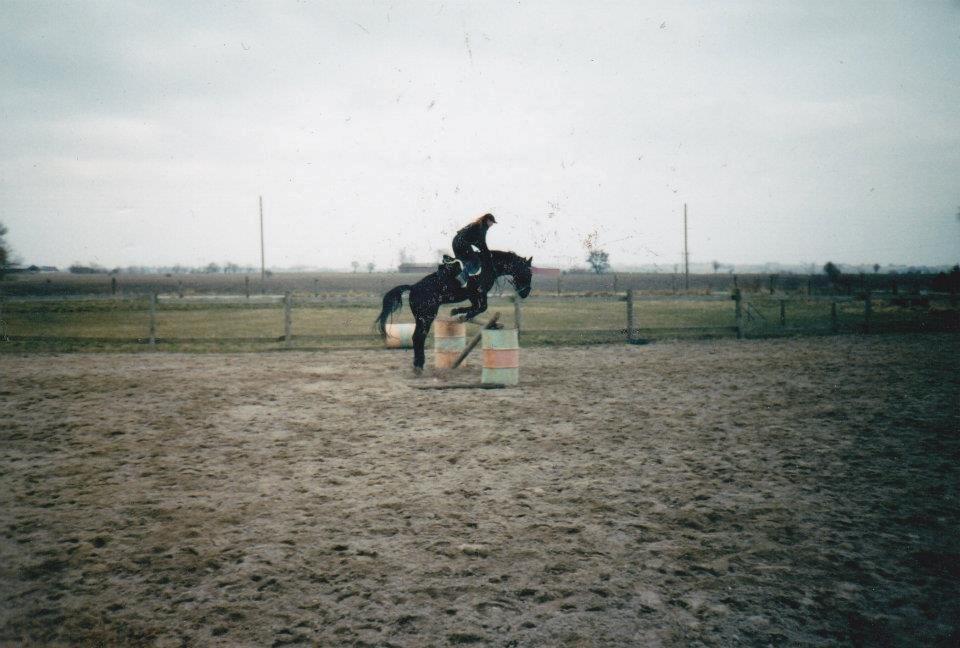 Oldenborg Strøgårdens Juvel - Første gang ham springer en meter billede 10