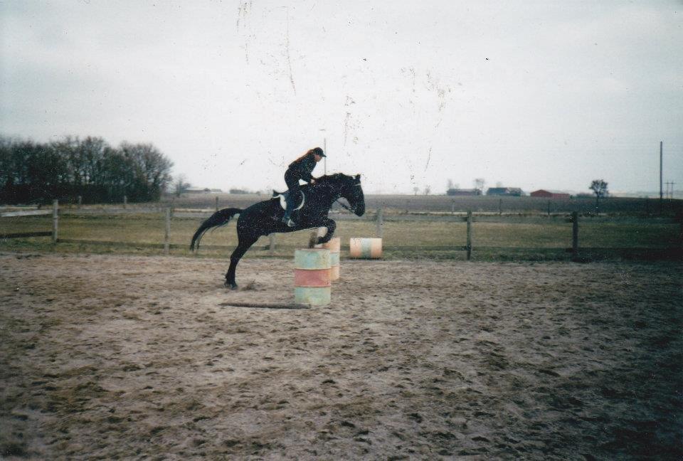 Oldenborg Strøgårdens Juvel - Juvel billede 11