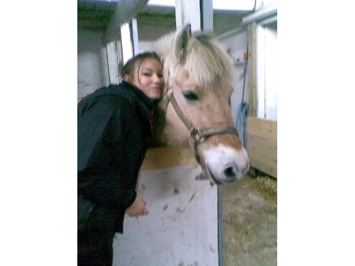 {{currentPhoto.altText}} billede {{currentPhoto.number}}