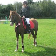 Anden særlig race Surprise