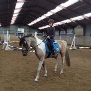 Anden særlig race Højagers Speedy