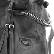 Dansk Varmblod Duffy's Happy Fighter "A-hest"<3