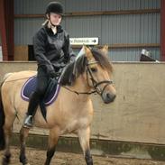 Anden særlig race Natasja