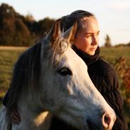 Anden særlig race Jody