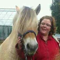 Fjordhest Marius Skovå