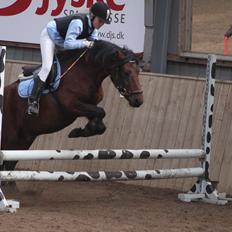 Anden særlig race Don Pedro
