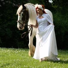 Drumhorse Sir Baron Baxter Bazz No. 1 - DRUM CERTIFIKAT
