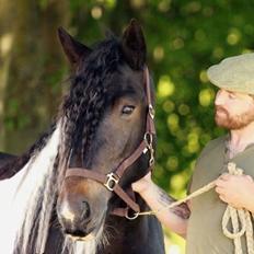 Drumhorse Gorgeous Gorgie - Registeret i EU og GCDHA