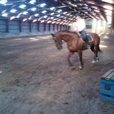 Anden særlig race røde <3