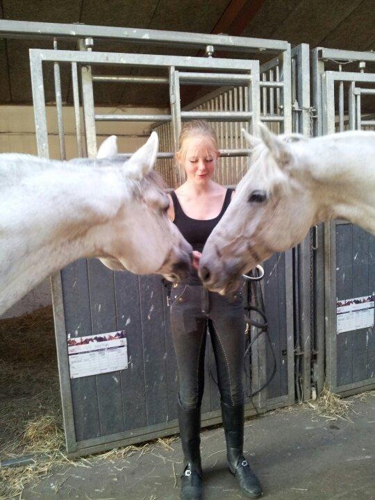 Hollandsk Sportspony V.P. Hestia billede 14