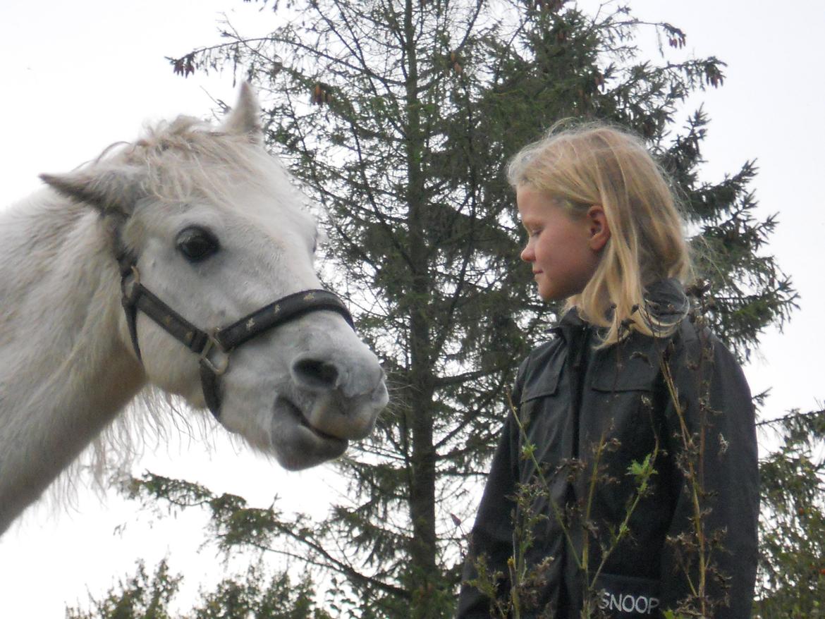 Dartmoor Jayde af Lundsbjerggård billede 7