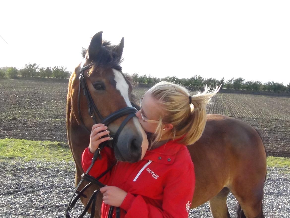 Anden særlig race Kaspar billede 15