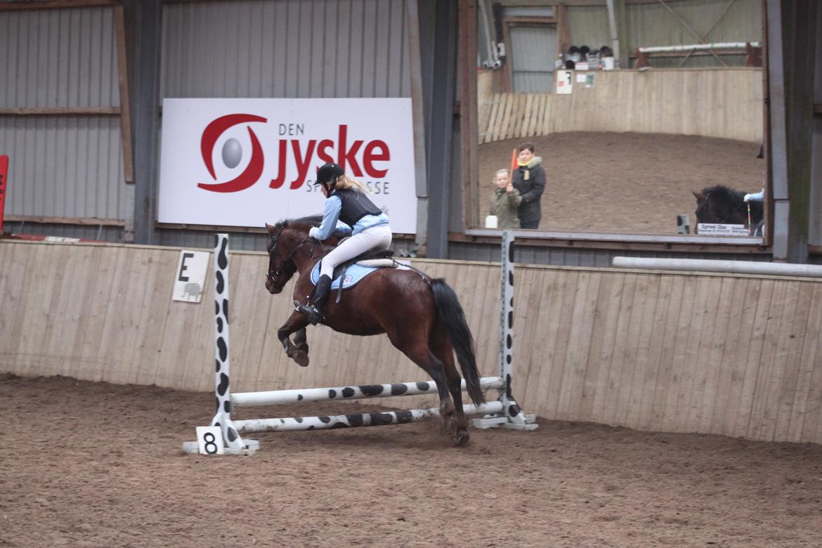 Anden særlig race Don Pedro - Hedelykke :-)) billede 4