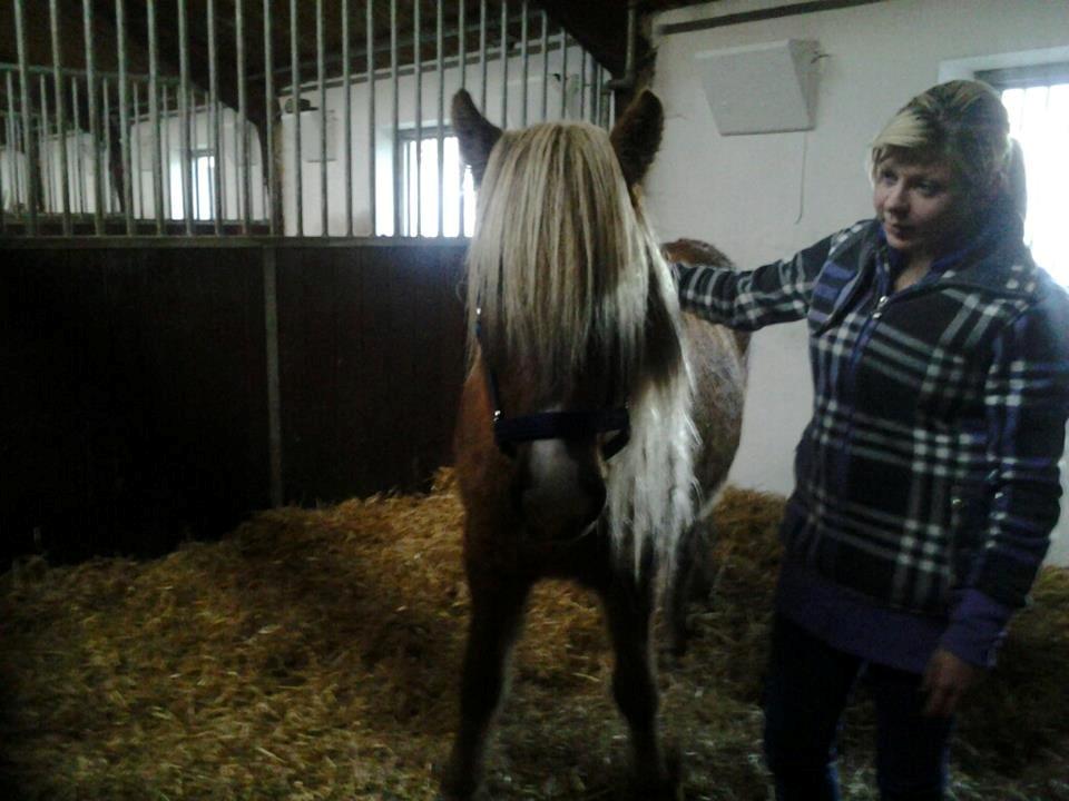 Islænder Eva From Skive ( R.I.P ) billede 1