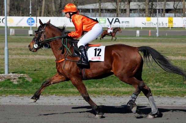 Traver Hilarious billede 5