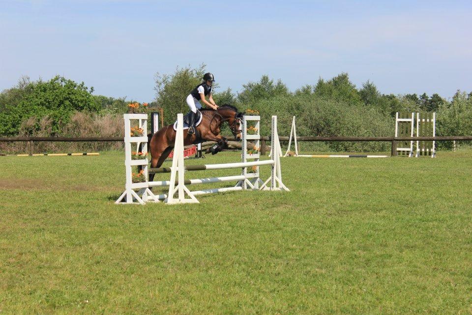 Hollandsk Sportspony Nina. #DISTRIKSMESTER 2013# - ;-) <3 billede 6