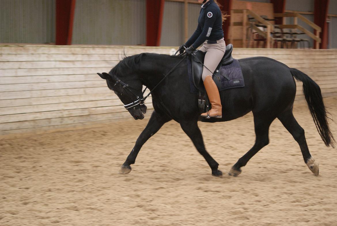 Oldenborg Magic Lady De Luxe billede 6