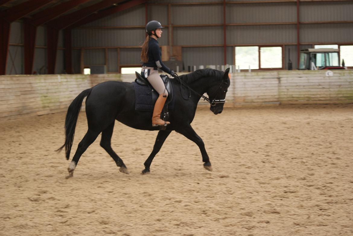 Oldenborg Magic Lady De Luxe billede 10