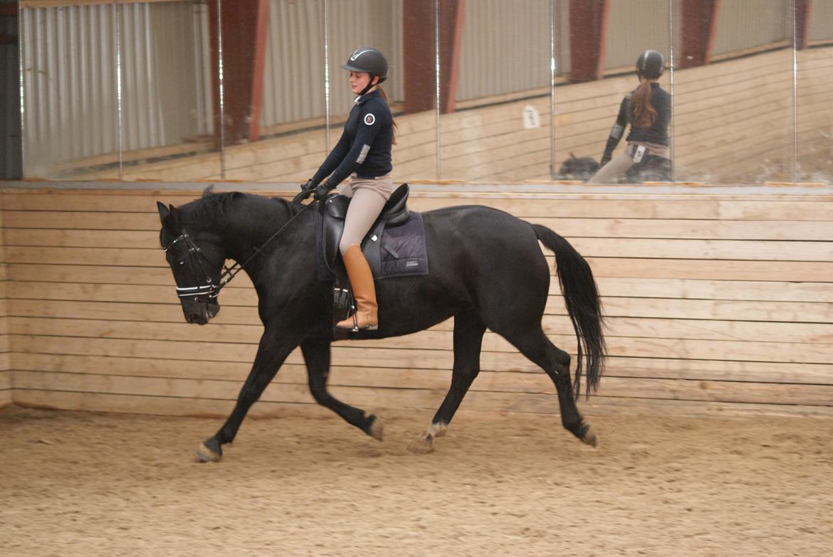 Oldenborg Magic Lady De Luxe billede 18