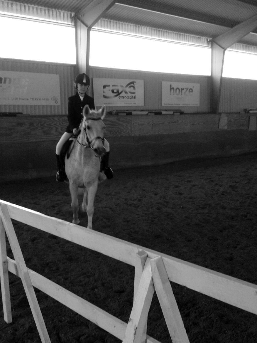 Anden særlig race | Nikita <3 - Nikita og jeg rider vores første lille stævne sammen. 7/10 2012. billede 10