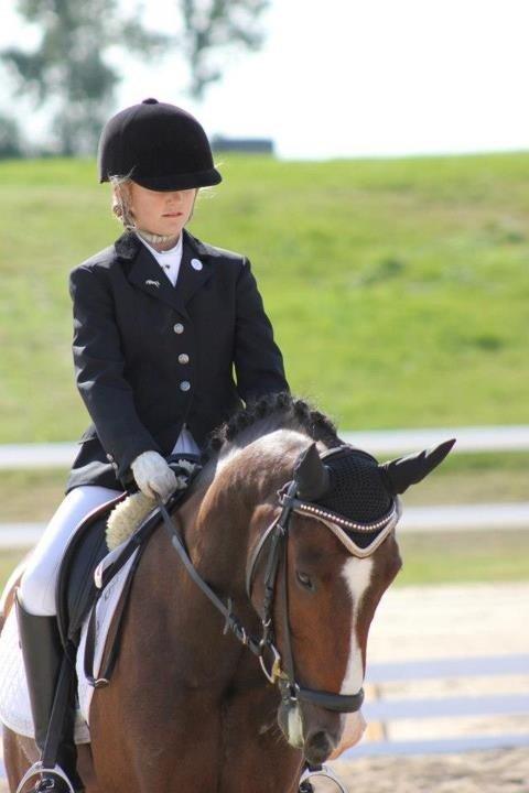 New Forest Orchid´s Jester 2 billede 1