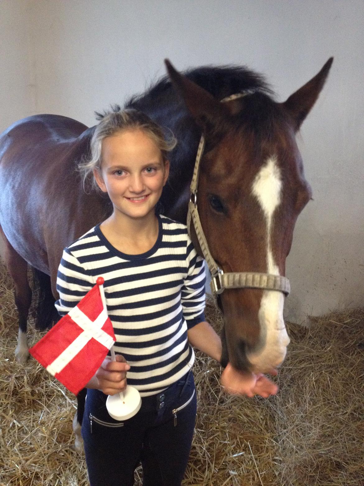 New Forest Orchid´s Jester 2 billede 20