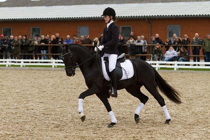 DSP Fredbo's Garmin KÅRET HINGST - Fredbo's Garmin - åbent hus 30 april 2012 - 3 år gammel
Rytter: Rikke Nielsen billede 8