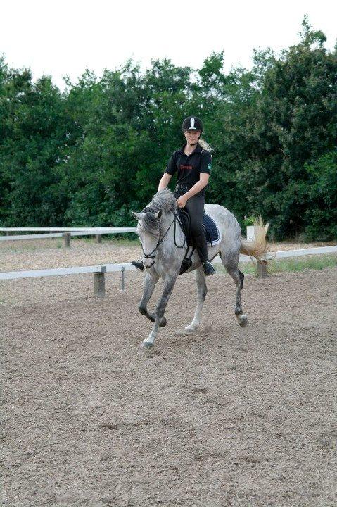 Anden særlig race Kenya billede 9