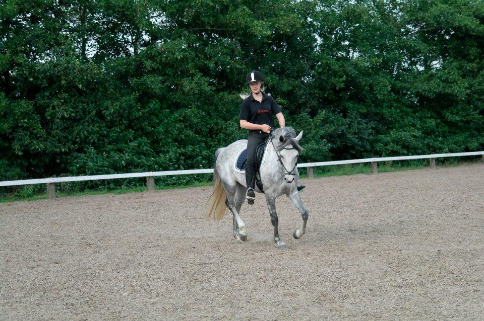 Anden særlig race Kenya billede 10