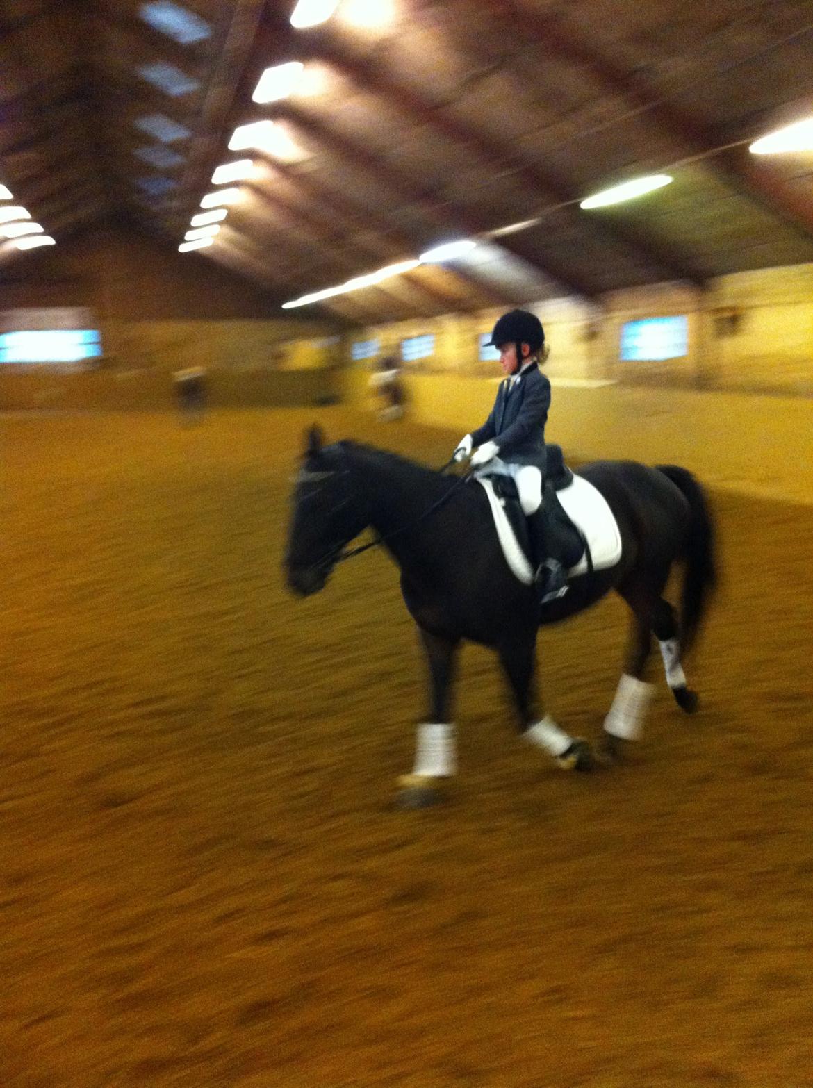 Anden særlig race Zeus (solgt) - opvamning til LD2 :D billede 13