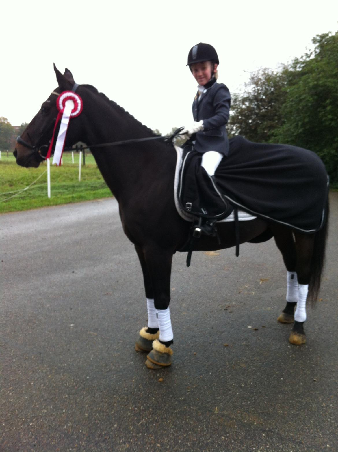 Anden særlig race Zeus (solgt) - Mig og Zeus 1plads med 74,???% billede 19